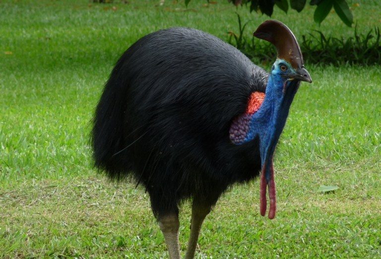 Index Of Wp Content Uploads 2017 07