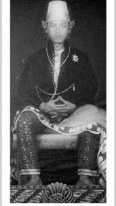 Biografi Singkat Sri Sultan Hamengkubuwana IX