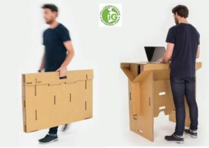 Bisnis Anak Muda, Serial Ide Kreatif Berbahan Kardus