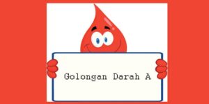Fakta Unik Golongan Darah A, Berhubungan Dengan Kepribadian?
