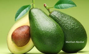 Manfaat Buah Alpukat Bagi Tubuh Manusia, Menu Diet Hingga Kesehatan