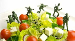 Ketahanan Pangan Nasional; Pengertian, Potensi dan Tantangannya