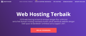Tips Memilih Hosting Untuk Mendukung Website Bisnis Kamu