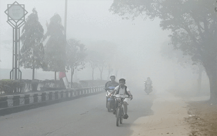 Bagaimana Cara Survival Dari Bencana Kabut Asap