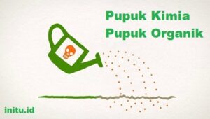 Pengertian dan Perbedaan Pupuk Kimia dan Pupuk Organik