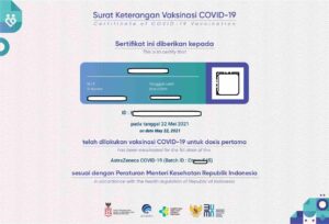Cara Mendownload Atau melihat Sertifikat Vaksin Menggunakan PeduliLindungi, Hindari Cetak Agar Aman