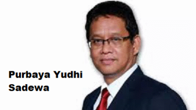 Profil Purbaya Yudhi Sadewa, Menteri Keuangan Pengganti Sri Mulyani