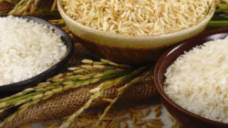 Donasi Digital & Zakat via Aplikasi Ramadhan 2026: Tren Baru Beribadah di Era Fintech