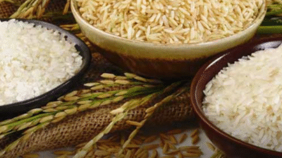 Donasi Digital & Zakat via Aplikasi Ramadhan 2026: Tren Baru Beribadah di Era Fintech